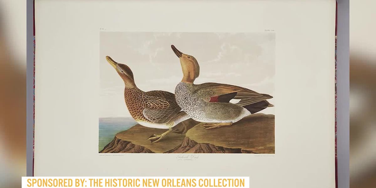 The Historic New Orleans Collection [Video]