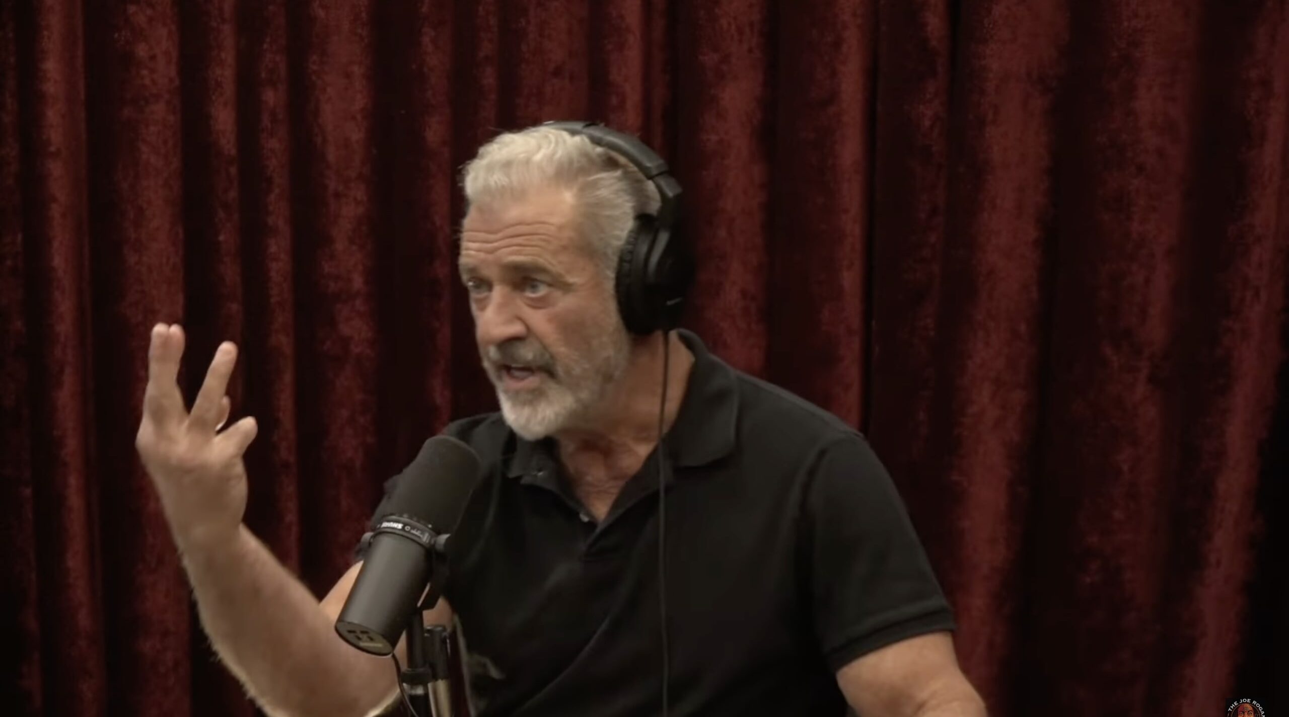 Mel Gibson Says Friends Cured Stage 4 Cancer With Ivermectin [Video]