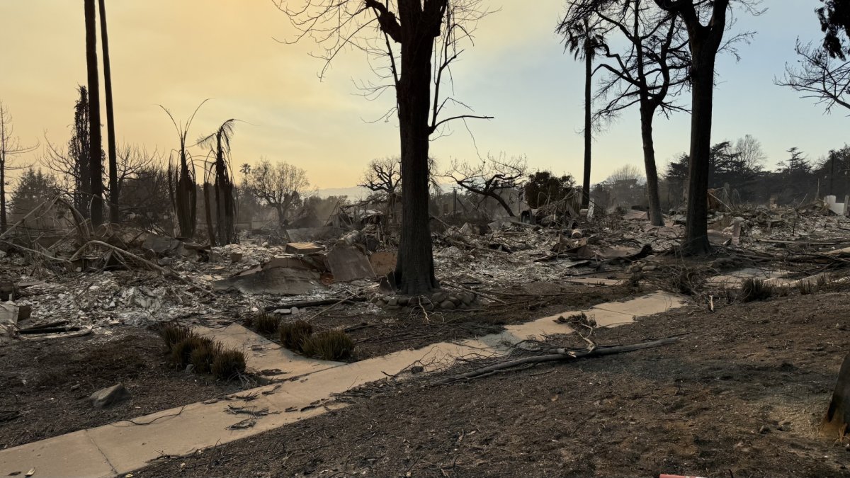 Altadena neighbors lean on each other after fire destroys townhome  NBC Los Angeles [Video]