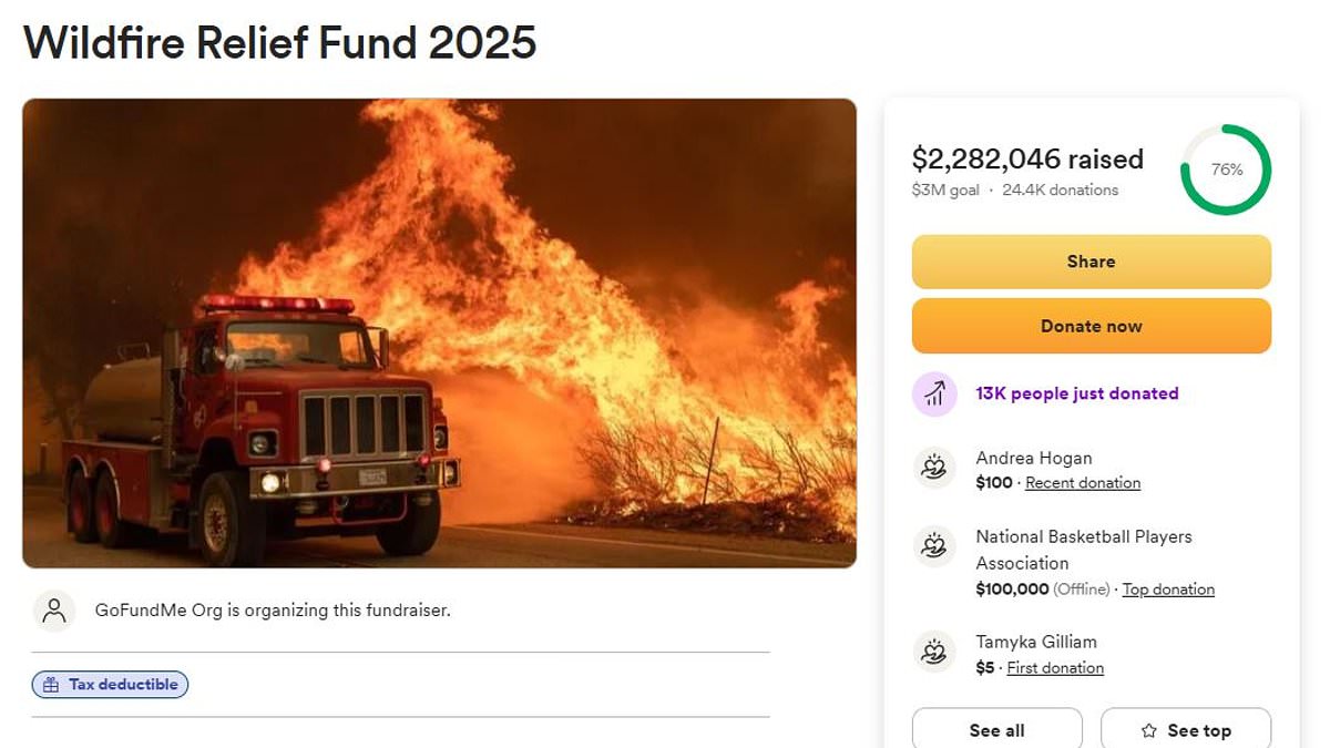 Outrage as GoFundMe is caught skimming Los Angeles wildfire donations: ‘Families are suffering’ [Video]