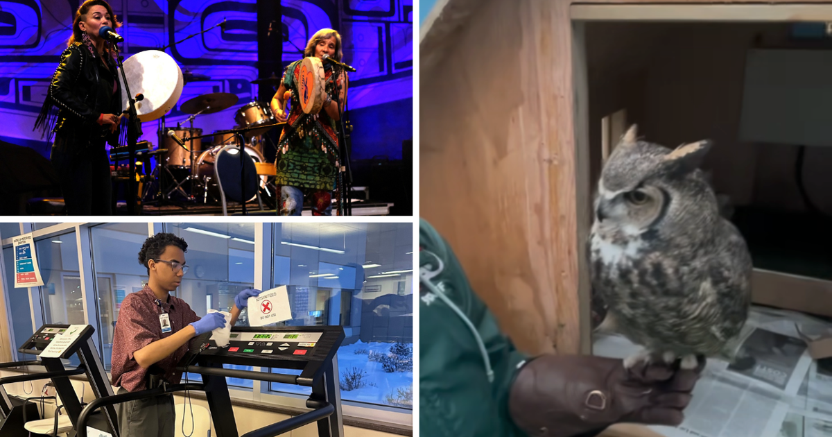 AROUND ALASKA: Music Festival Canceled, Project Search, and Echo the Owl! | Around Alaska [Video]