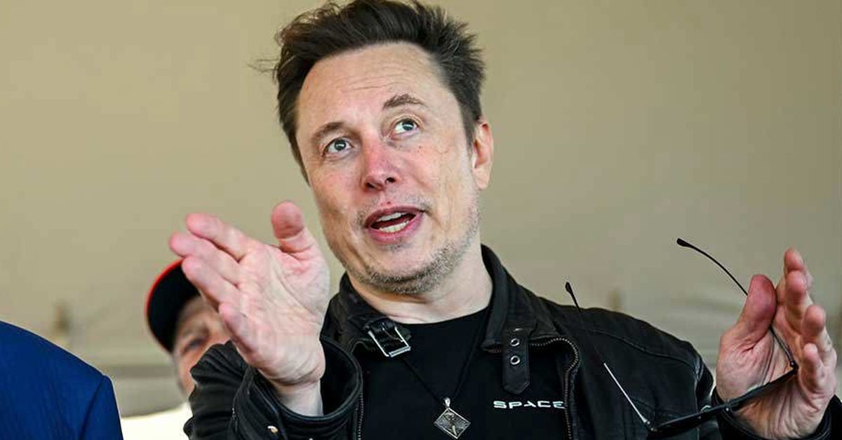 Elon Musk may buy US arm of TikTok from China: reports [Video]