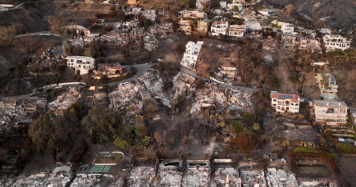 LA fires have scorched largest urban area in California in at least 40 years [Video]