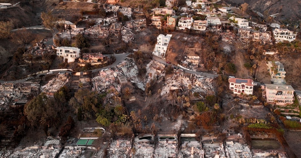 Los Angeles fires have scorched largest urban area in California in at least 40 years  WSOC TV [Video]