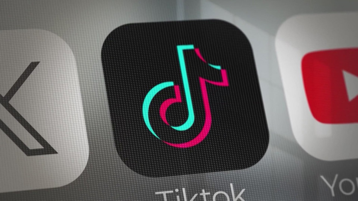 TikTok ban could impact companies