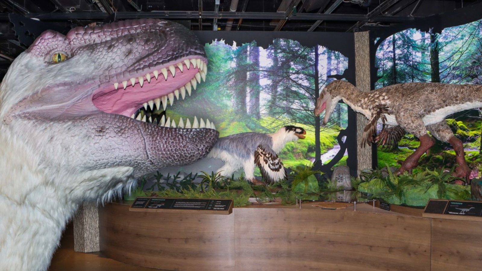 Animatronic dinosaurs are on display at The Academy of Natural Sciences of Drexel University [Video]